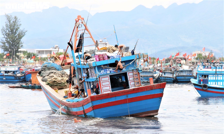 Ảnh: Tất bật chuyển hải sản trước giờ đóng cửa cảng cá lớn nhất miền Trung - 9
