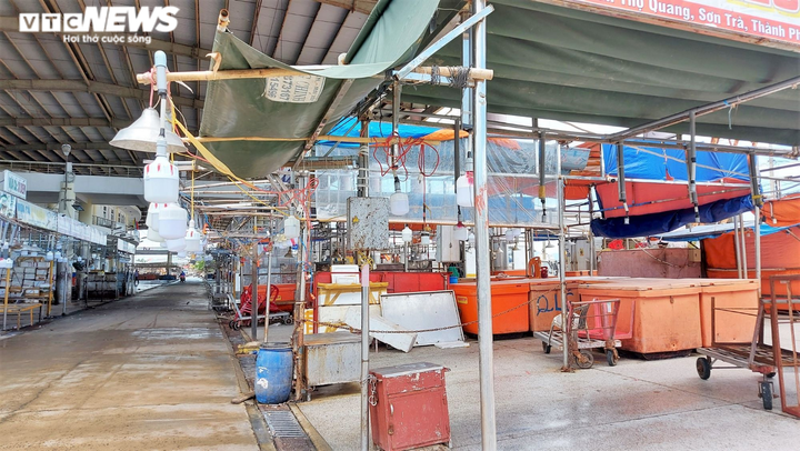 Ảnh: Tất bật chuyển hải sản trước giờ đóng cửa cảng cá lớn nhất miền Trung - 7