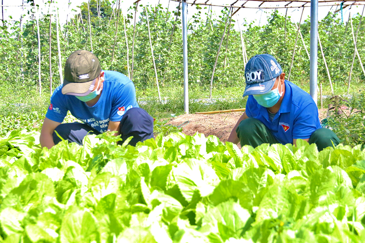 Cảnh sát phát xăng, nhu yếu phẩm miễn phí cho người dân về quê - 4