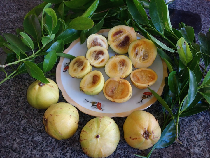 Loại quả rừng có cái tên kỳ lạ in sâu trong ký ức những người con đất Quảng Ngãi - 1