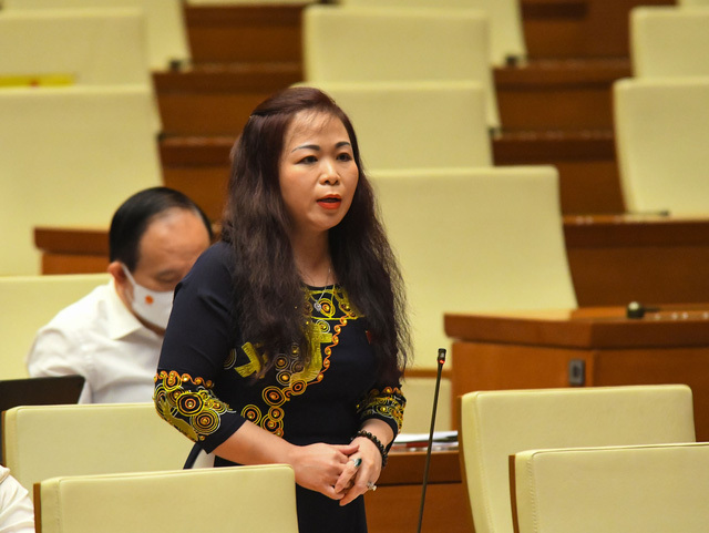 ĐBQH: 'Có cá nhân khi được giao nhiệm vụ phân bổ vốn tự cho mình quyền ban phát' - 1