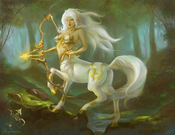 Tử vi 12 cung hoàng đạo 30/7: Song Tử nhận tin vui liên tục, Nhân Mã dễ mất tiền - 2