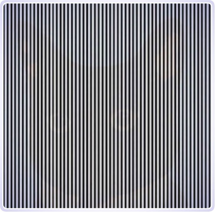 Bạn có đủ tinh mắt để nhìn ra sự ảo diệu của những bức ảnh này? - 3