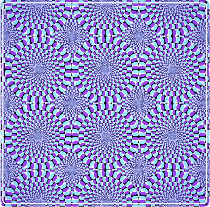 Bạn có đủ tinh mắt để nhìn ra sự ảo diệu của những bức ảnh này? - 4