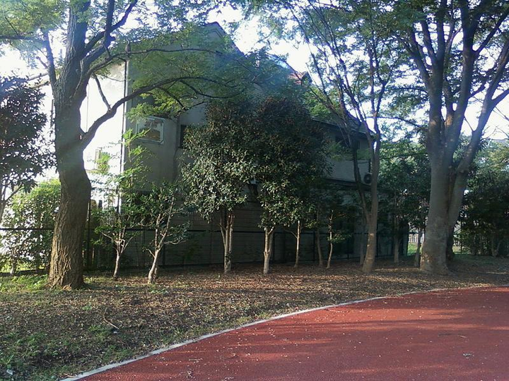 Bí ẩn vụ thảm sát cả gia đình ở Nhật: Máu và DNA không đủ để tìm hung thủ - 3