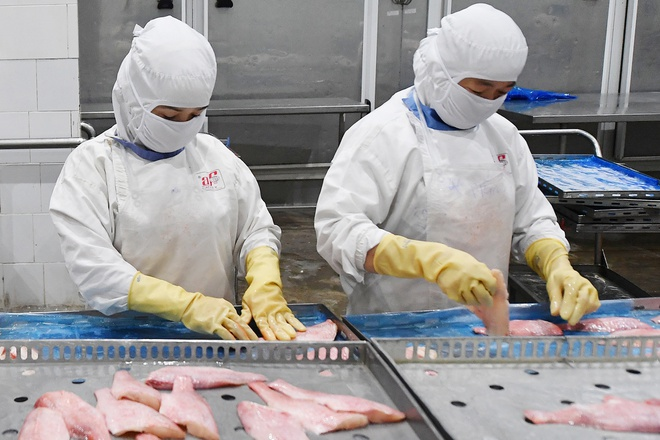 Doanh nghiệp ở Tiền Giang kêu cứu vì bị ngừng sản xuất đột ngột - 1