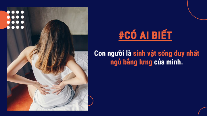 Có ai biết: Cơ thể người có thể tạo 900 cây bút chì, bắn 1 khẩu đại bác đồ chơi - 7