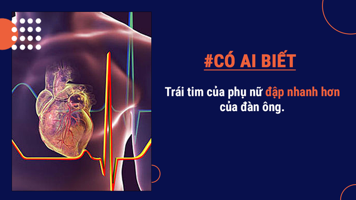 Có ai biết: Cơ thể người có thể tạo 900 cây bút chì, bắn 1 khẩu đại bác đồ chơi - 3