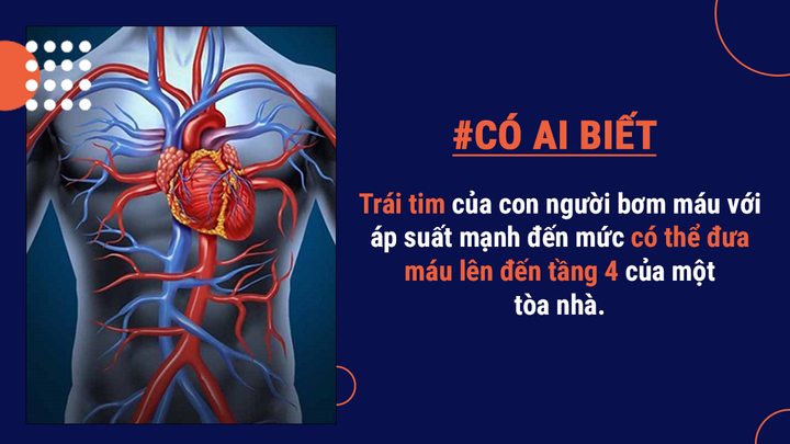 Có ai biết: Cơ thể người có thể tạo 900 cây bút chì, bắn 1 khẩu đại bác đồ chơi - 2