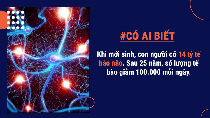 Có ai biết: Cơ thể người có thể tạo 900 cây bút chì, bắn 1 khẩu đại bác đồ chơi - 4