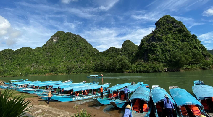 1.001 chuyện thất nghiệp thời COVID-19: Bỏ phố về quê chăn bò - 1