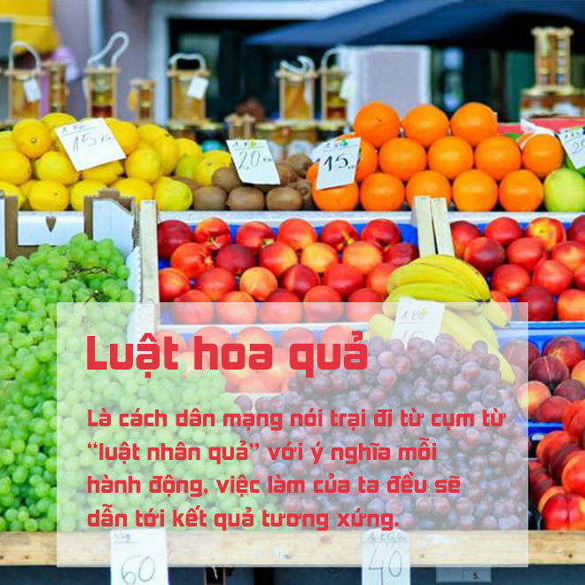 Tra từ: ‘Luật hoa quả’ là gì mà dân mạng nhắc đến suốt những ngày qua? - 1