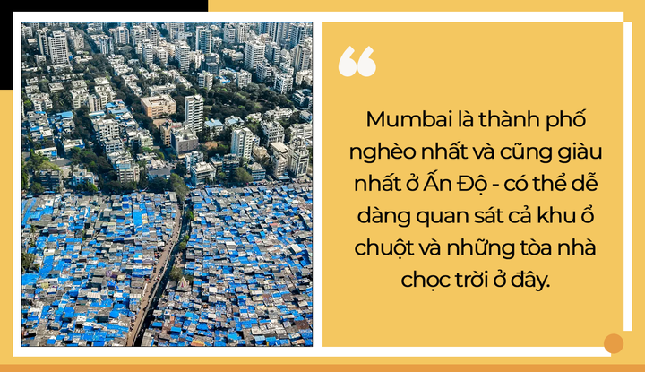Nhiều người nghĩ Ấn Độ tôn thờ bò vì chúng là thần, nhưng sự thật không phải vậy - 3