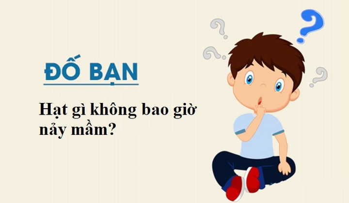 Hạt gì không bao giờ nảy mầm? - 1