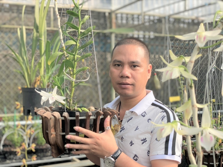 Ông chủ vườn lan Cánh Hoàng và khát vọng phát triển ngành hoa lan - 1
