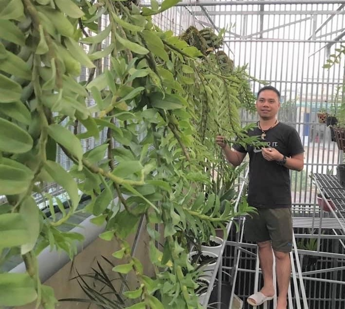 Ông chủ vườn lan Cánh Hoàng và khát vọng phát triển ngành hoa lan - 2