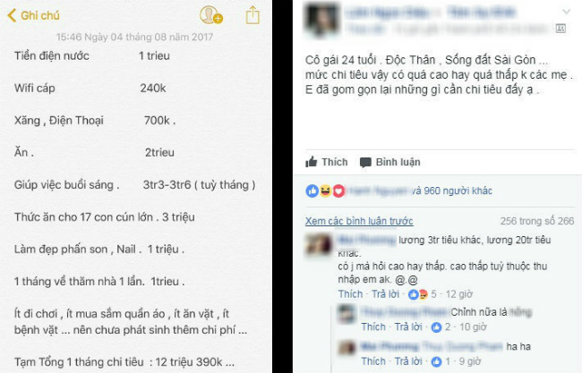 Tiêu 12 triệu/tháng nhưng hết 4 triệu thuê osin, cô gái độc thân gây tranh cãi - 1