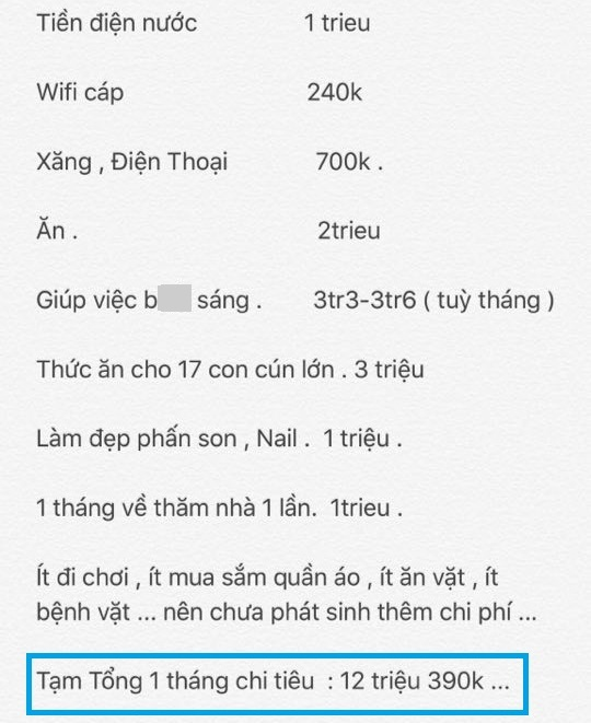 Tiêu 12 triệu/tháng nhưng hết 4 triệu thuê osin, cô gái độc thân gây tranh cãi - 2