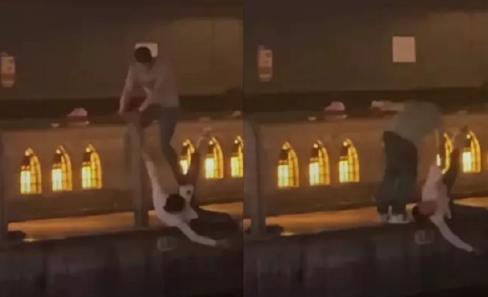 Đề nghị Nhật Bản sớm đưa hung thủ giết thanh niên Việt ở Osaka ra xét xử - 1