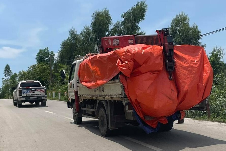 Toàn cảnh quá trình đột kích thu giữ 17 con hổ nuôi nhốt trái phép - 10