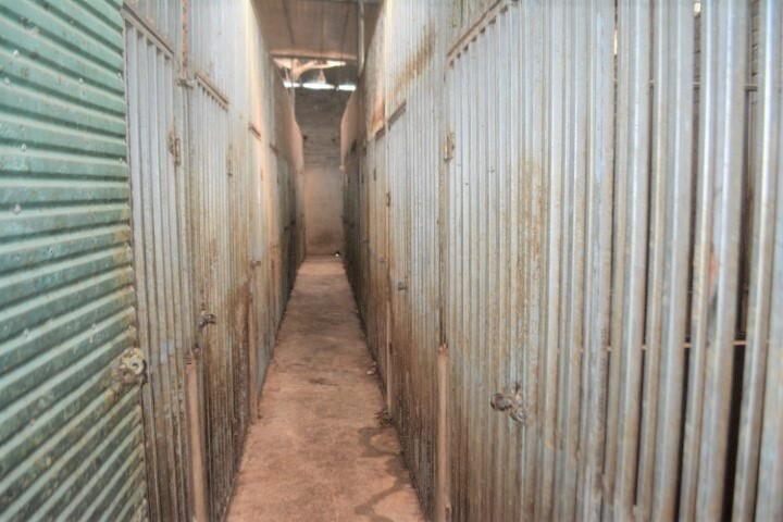 Toàn cảnh quá trình đột kích thu giữ 17 con hổ nuôi nhốt trái phép - 3