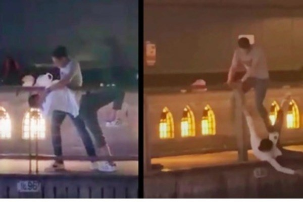 Thanh niên Việt bị giết ở Nhật Bản: Đã bắt nghi phạm - 1