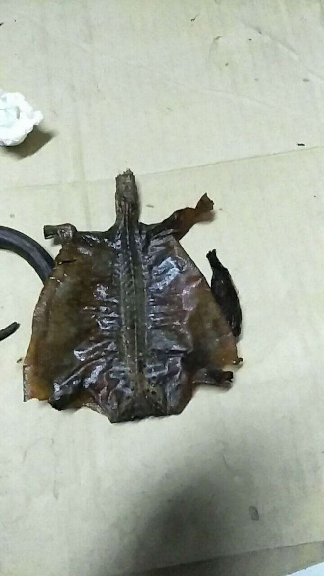 Cô gái tặng bố bình rượu thuốc, uống 7 năm mới phát hiện sự thật đáng sợ ở trong - 1