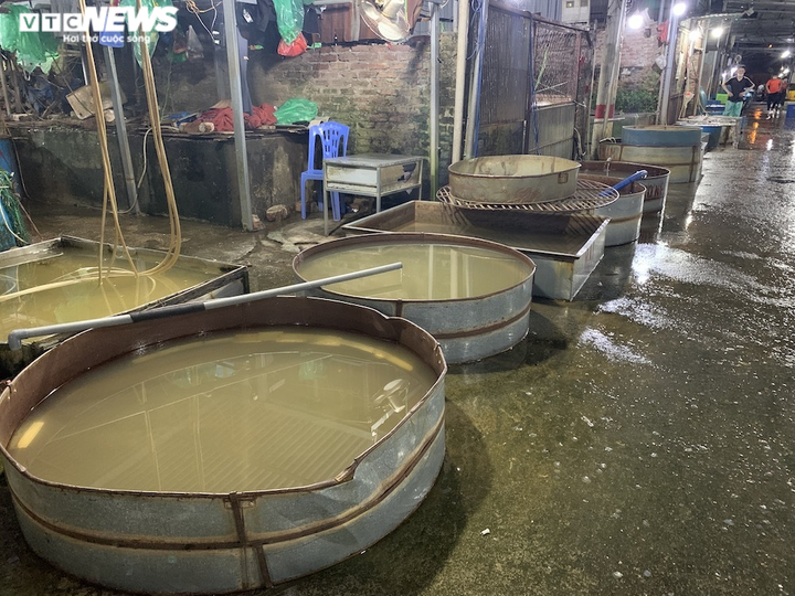 Ảnh: Chợ cá lớn nhất Hà Nội hoang vắng, tiểu thương nghỉ quá nửa vì COVID-19 - 15