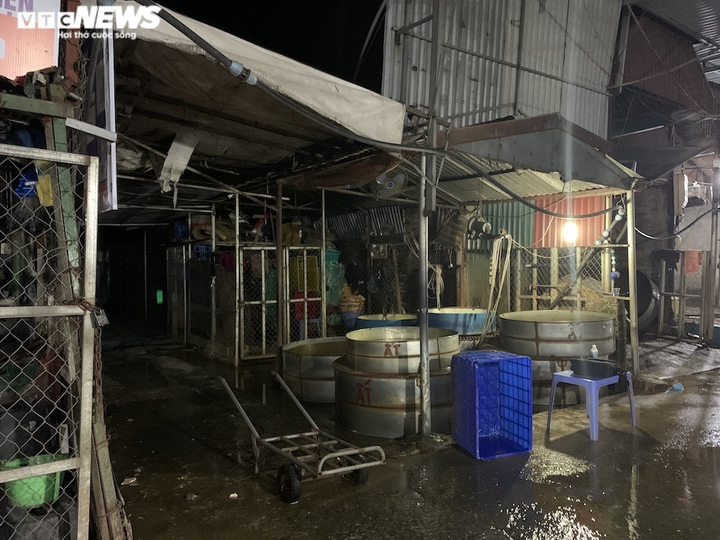 Ảnh: Chợ cá lớn nhất Hà Nội hoang vắng, tiểu thương nghỉ quá nửa vì COVID-19 - 14