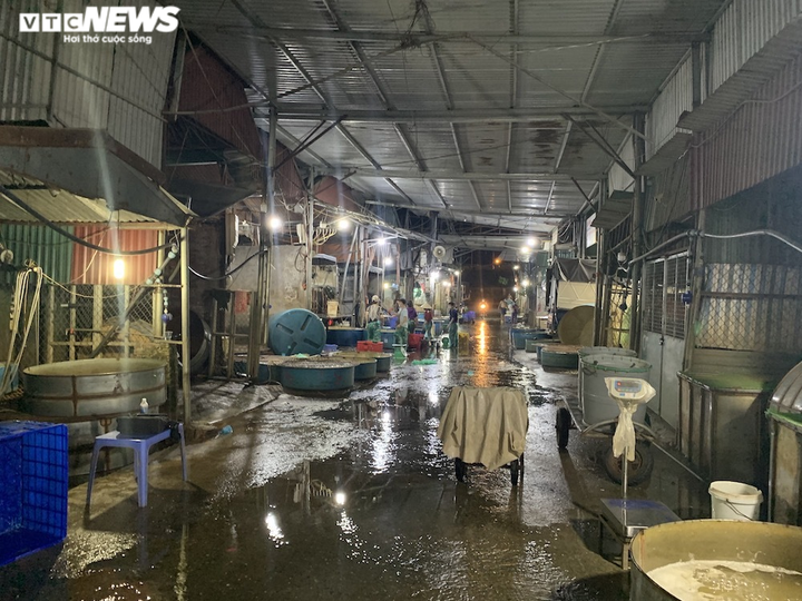 Ảnh: Chợ cá lớn nhất Hà Nội hoang vắng, tiểu thương nghỉ quá nửa vì COVID-19 - 2