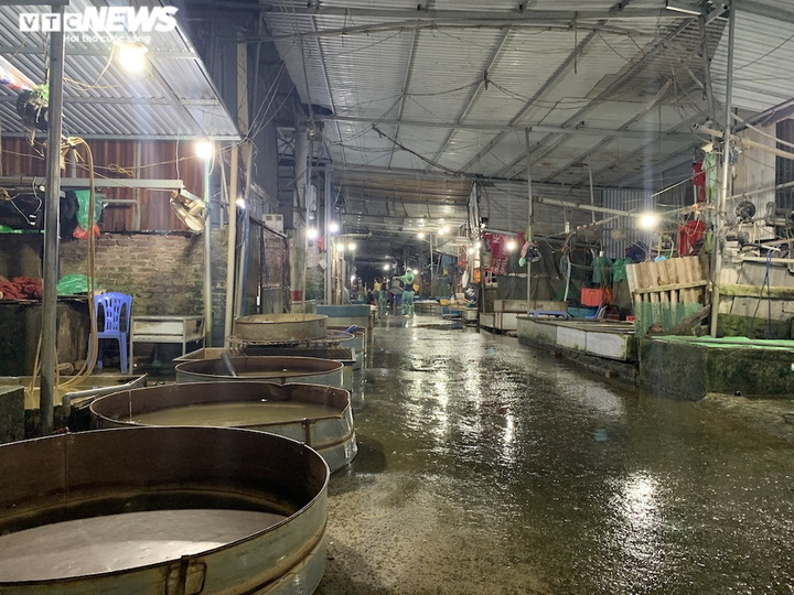 Ảnh: Chợ cá lớn nhất Hà Nội hoang vắng, tiểu thương nghỉ quá nửa vì COVID-19 - 10