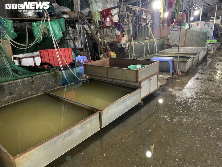 Ảnh: Chợ cá lớn nhất Hà Nội hoang vắng, tiểu thương nghỉ quá nửa vì COVID-19 - 7