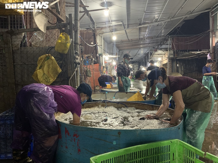 Ảnh: Chợ cá lớn nhất Hà Nội hoang vắng, tiểu thương nghỉ quá nửa vì COVID-19 - 18