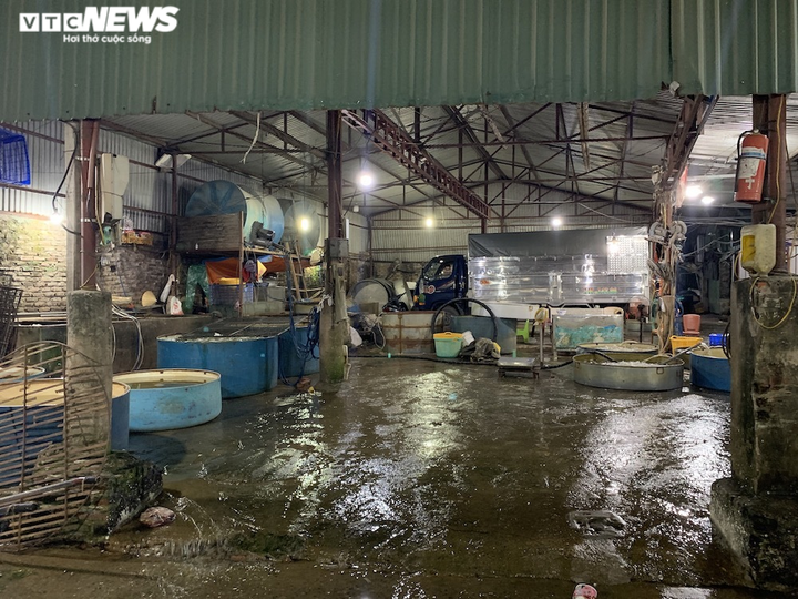 Ảnh: Chợ cá lớn nhất Hà Nội hoang vắng, tiểu thương nghỉ quá nửa vì COVID-19 - 1