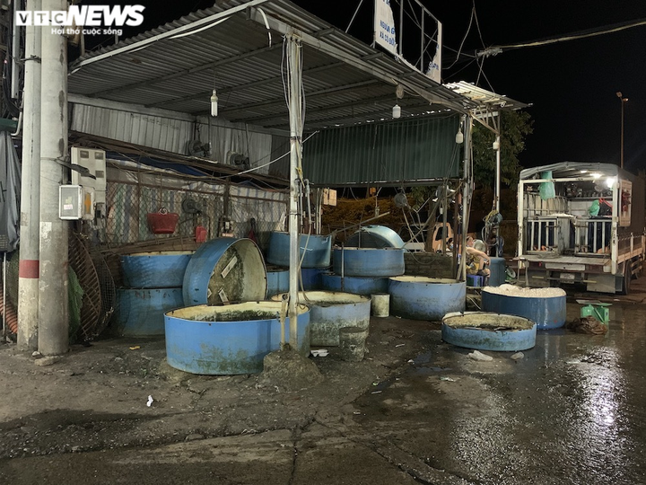 Ảnh: Chợ cá lớn nhất Hà Nội hoang vắng, tiểu thương nghỉ quá nửa vì COVID-19 - 6