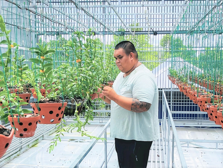 Chặng đường chinh phục loài hoa vương giả của ông chủ vườn lan Bát Giới Orchids - 2