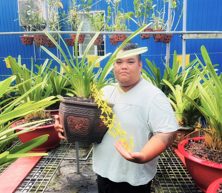 Chặng đường chinh phục loài hoa vương giả của ông chủ vườn lan Bát Giới Orchids - 4