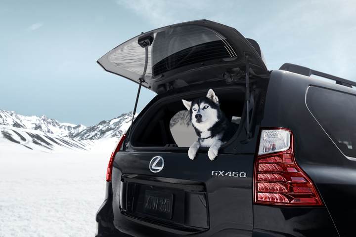 Lexus GX 460 Black Line 202 ra mắt với nhiều nâng cấp - 4