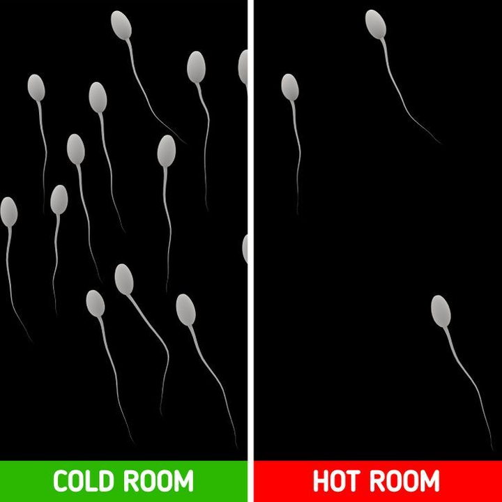 Vì sao ngủ trong phòng lạnh tốt hơn cho sắc đẹp và sức khỏe? - 3