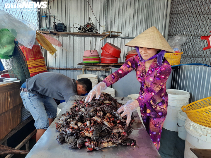 Nhớ món ba khía muối Rạch Gốc - đặc sản nơi cuối miền Tổ quốc - 8