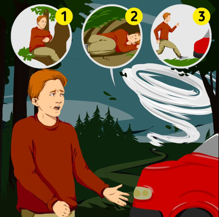 Làm gì khi bị rắn cắn: Tình huống sinh tồn thường gặp nhưng ít người biết xử lý - 2