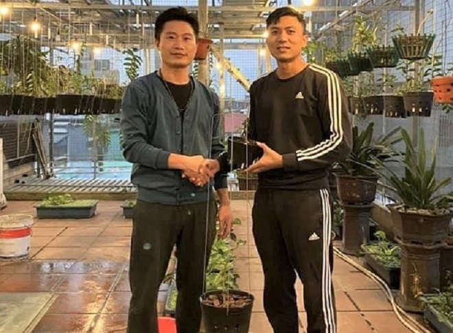 Ông chủ vườn lan Lính Bay và hành trình hơn 30 năm gắn bó với hoa lan - 2