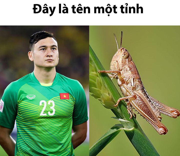 Đố mẹo: Đây là tên của tỉnh nào? - 1