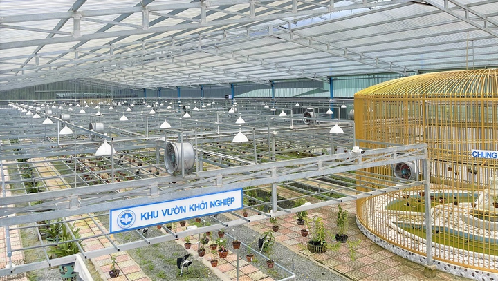 Hội hoa lan Đất Thủ với hành trình lan tỏa yêu thương mùa dịch COVID-19 - 5