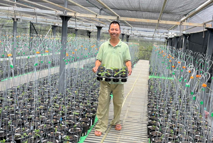 Gặp gỡ cha đẻ của những mặt bông 'độc nhất vô nhị' tại vườn lan Pleiku Xanh - 1