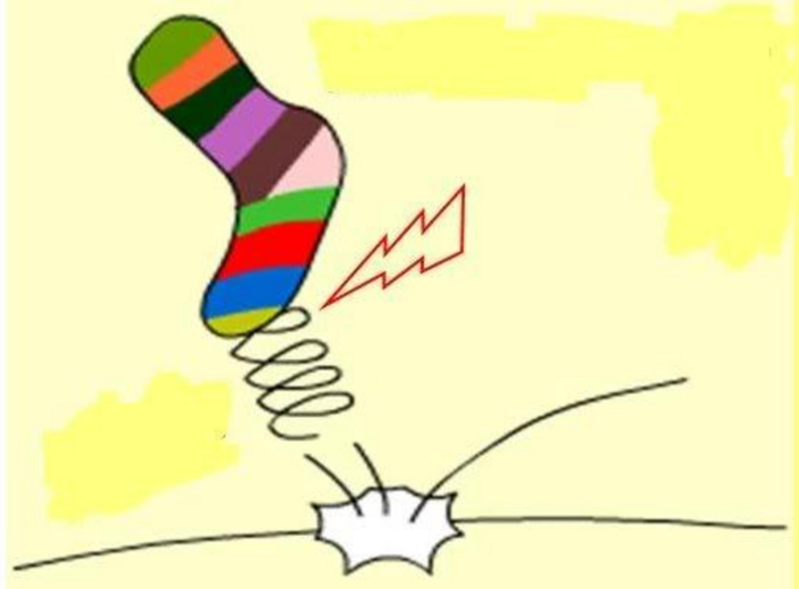 Đuổi hình bắt chữ: Trong 30 giây, bạn có thể đoán được từ khóa của bức ảnh? - 3