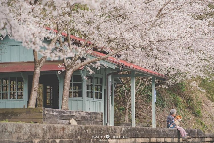 Bộ ảnh bà cụ và chú chó cưng đẹp mộng mơ, gây xúc động mạnh - 11