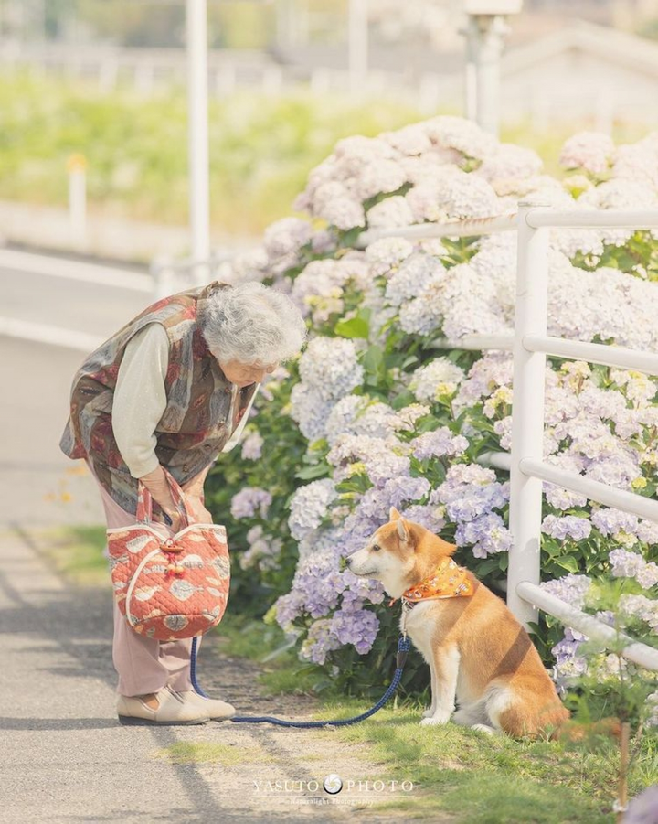 Bộ ảnh bà cụ và chú chó cưng đẹp mộng mơ, gây xúc động mạnh - 9