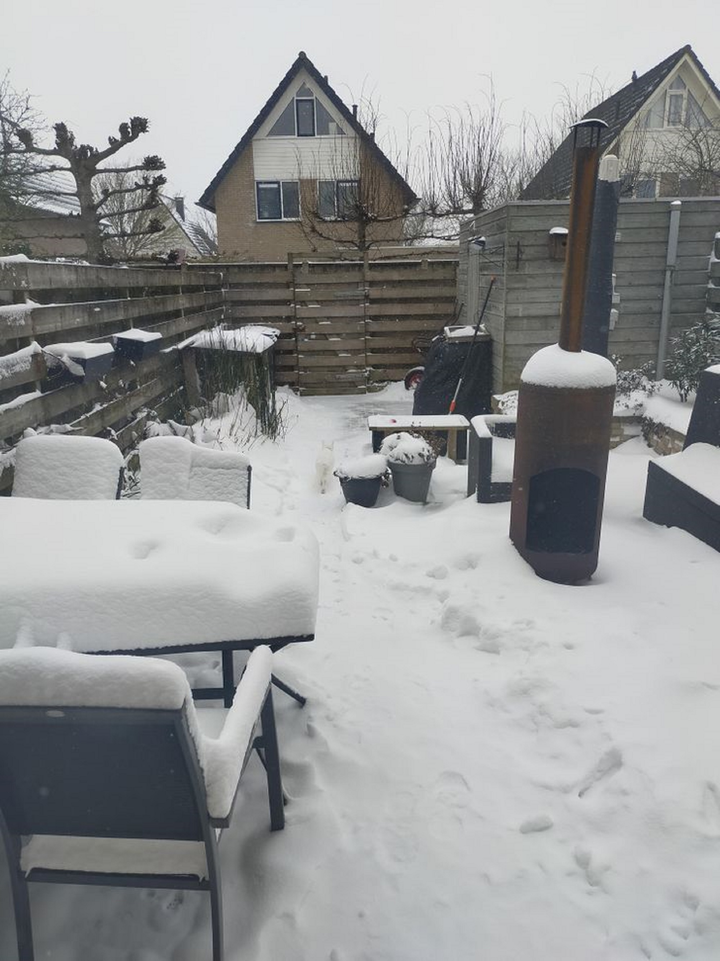 4 câu đố 'khó nhằn' chỉ những người cực tinh mắt mới có thể tìm ra đáp án - 2