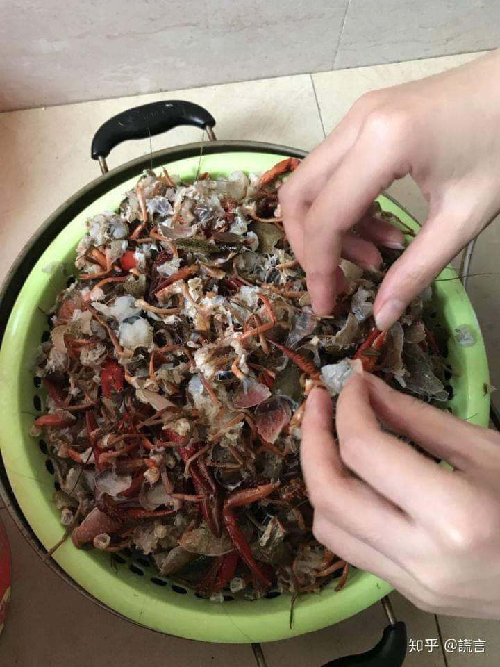 Bắt chước clip mạng, cô gái cho 2,5kg tôm hùm vào máy giặt để rửa và cái kết - 3